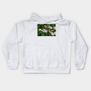 White bell clusters Talus Slope Penstemon Kids Hoodie